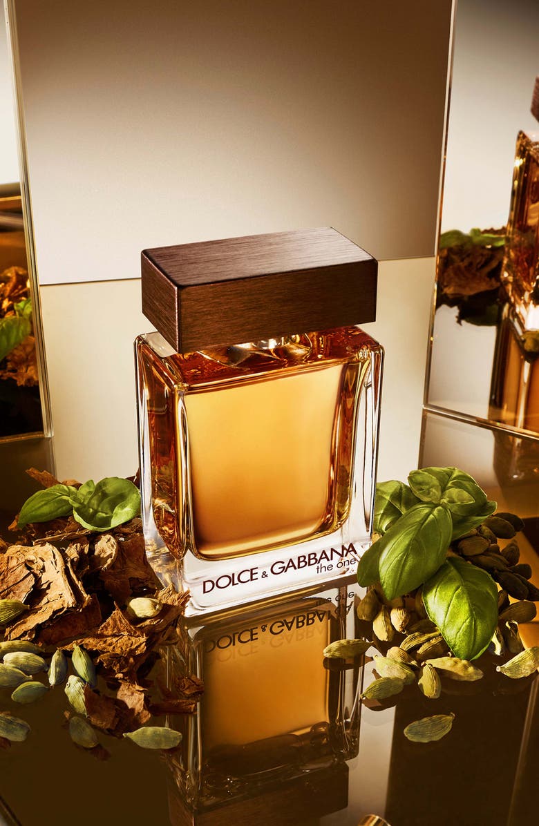 Dolce&Gabbana The One for Men Eau de Toilette, Alternate, color,