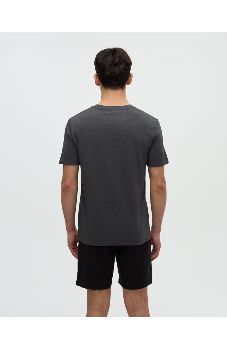 tentree Sasquatch T-Shirt, Alternate, color, Graphite Heather/Floatie