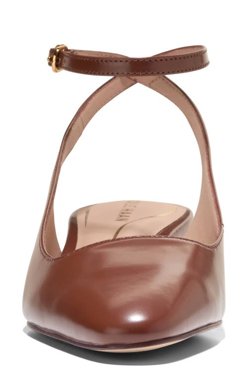 Cole Haan Paden Ankle Strap Slingback Pump In Brown
