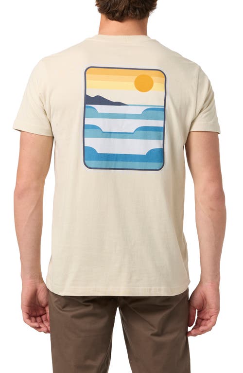 O'neill Stacked Cotton Graphic T-shirt In Brown