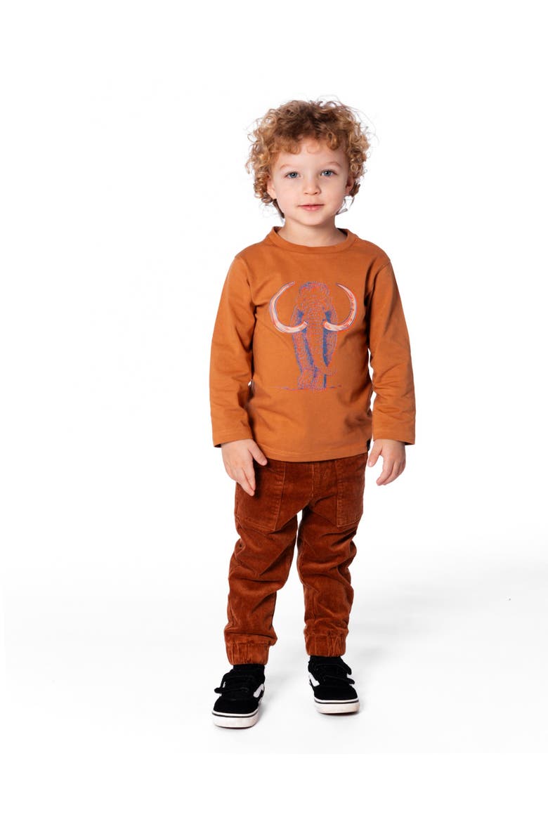 Boy Organic Cotton Long Sleeve T-Shirt, Alternate, color, Cashew Brown