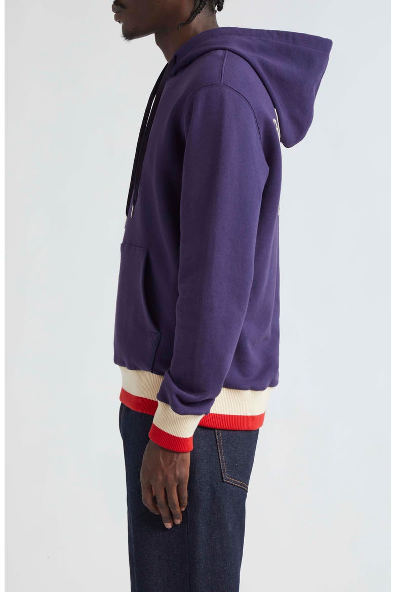 Journey Stripe Trim Graphic Hoodie, Alternate, color, ECLIPSE/ HERITAGE WHITE/ RED