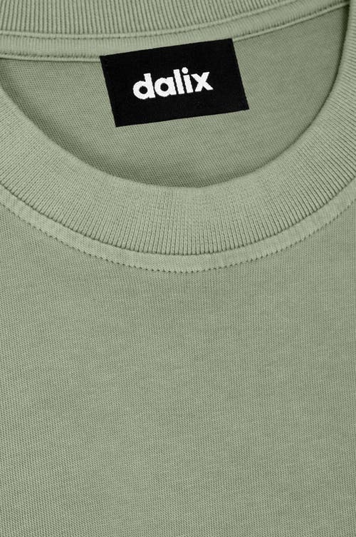 Dalix Mens Astronaut Heavyweight Pigment Dye Tee