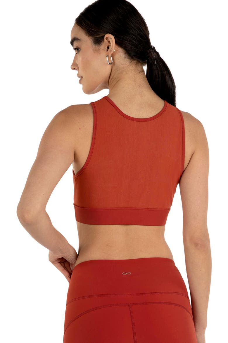 Venti Mesh Longline Silkiflex Longline Bra, Alternate, color, Mars Red