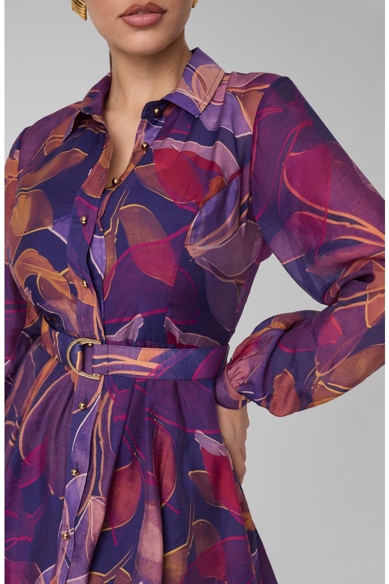 Autumn Print Long Sleeve Shirtdress, Alternate, color, BLUE PRINT MULTI WILDFLOWER
