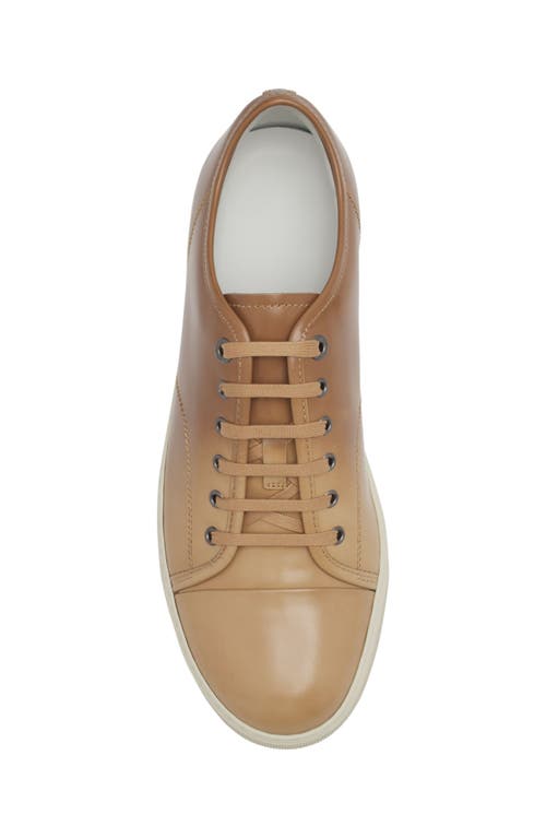 Lanvin Dbb1 Gradation Leather Sneakers In Brown
