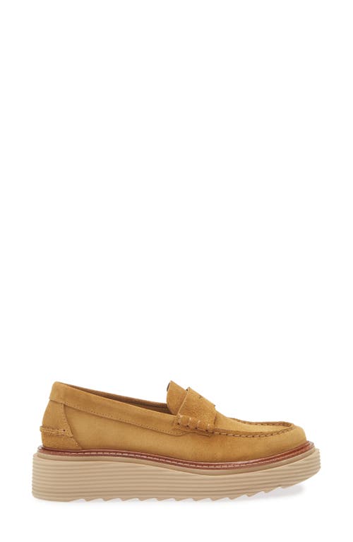Pedro Garcia Sloan Platform Penny Loafer In Brown