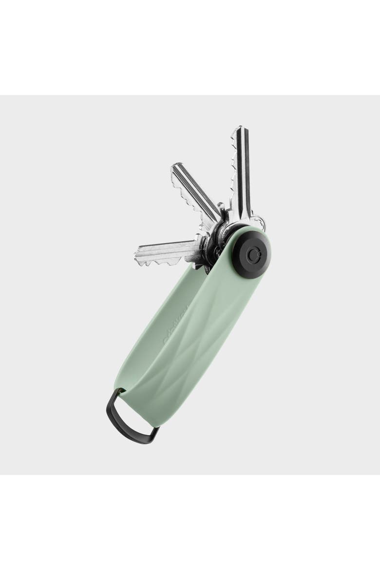 Active Key Organiser, Main, color, Mist