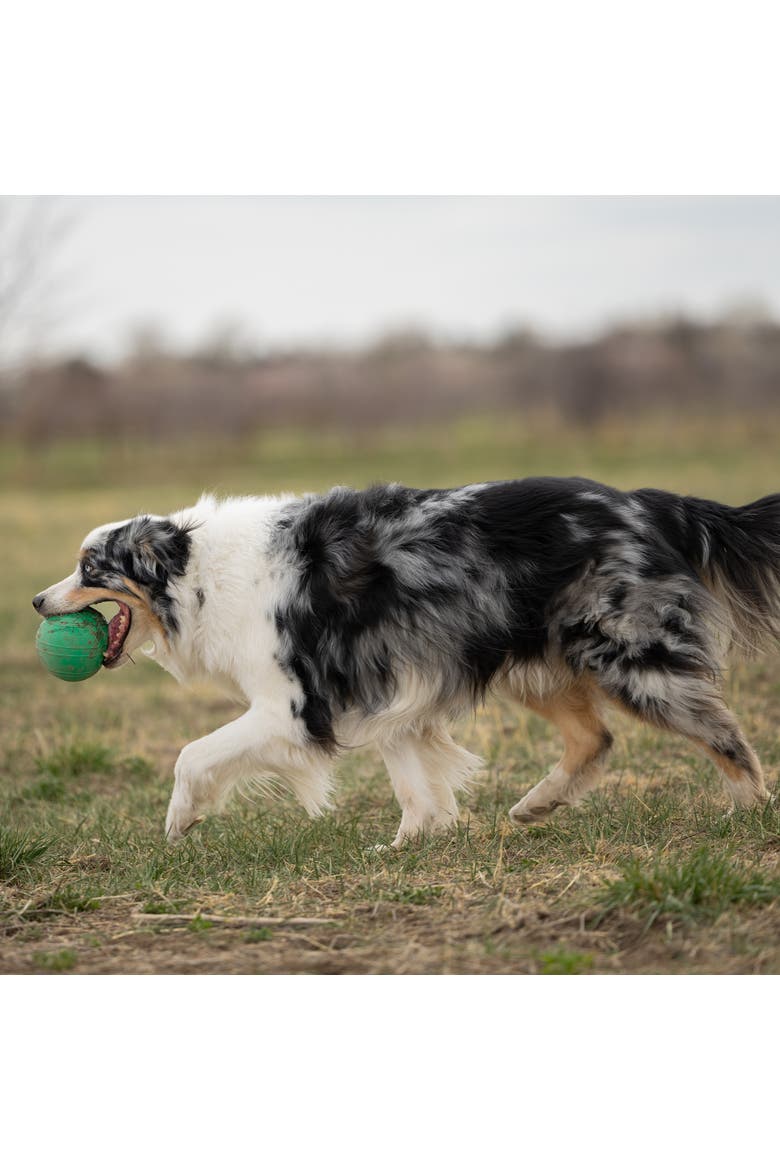 KoreFlex Ball, 4.75 Inches, Large, Green, Dog Toy, Alternate, color, Green