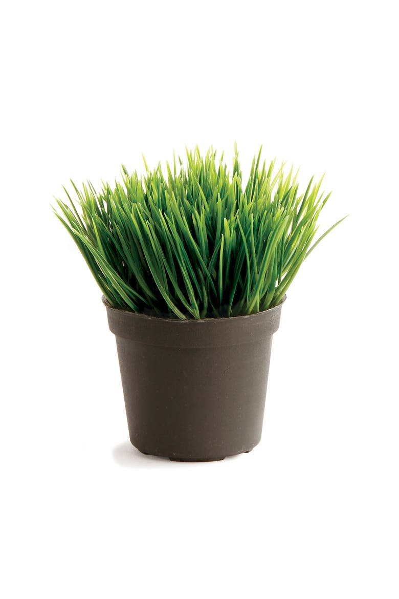 Mini Potted Grass 3.5", Main, color, Green