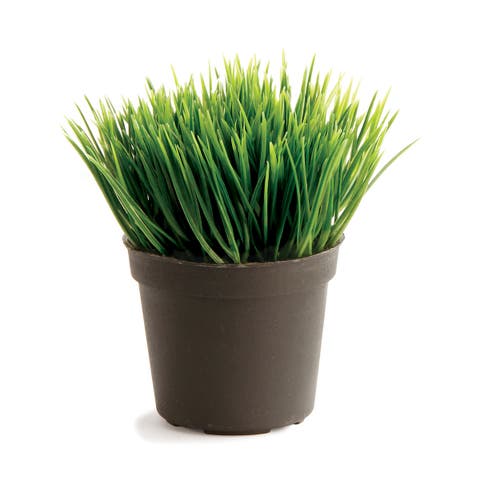Mini Potted Grass 3.5"
