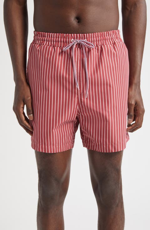 Stripe Nylon Swim Trunks