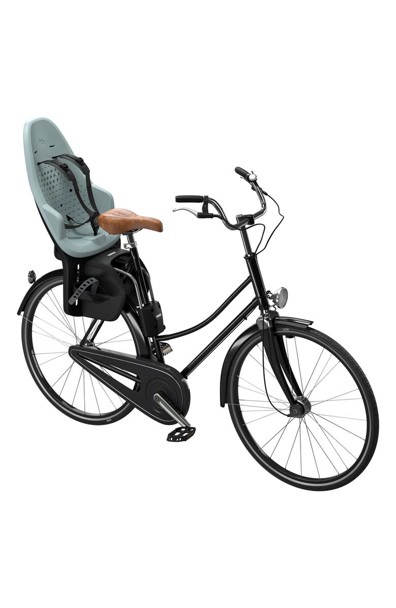 Thule Yepp 2 Maxi Frame Mounted Child Bike Seat, Alternate, color, Alaska