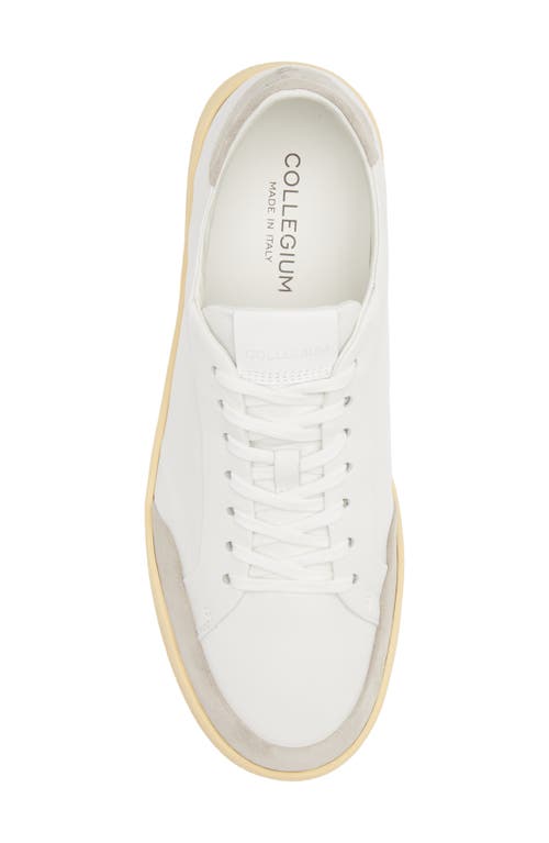 Collegium Pillar Court Sneaker In White