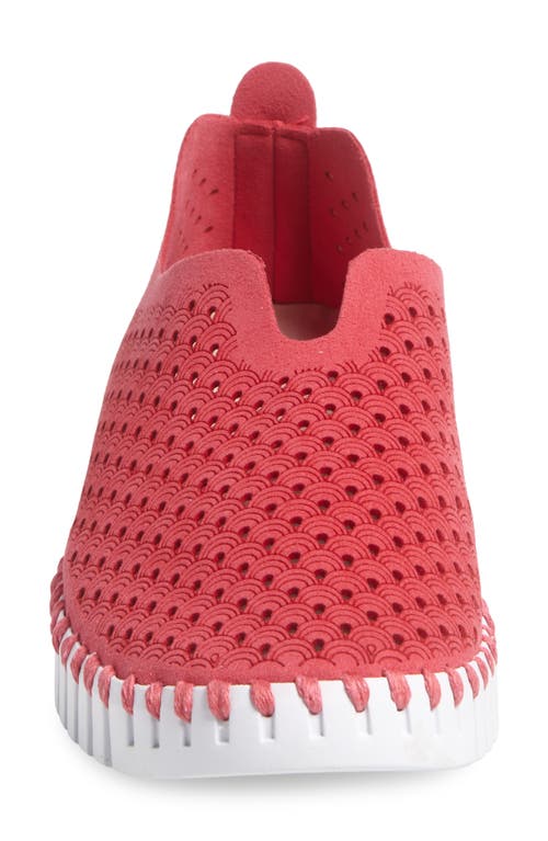 Ilse Jacobsen Tulip 139 Perforated Slip-on Sneaker In Viva Magenta