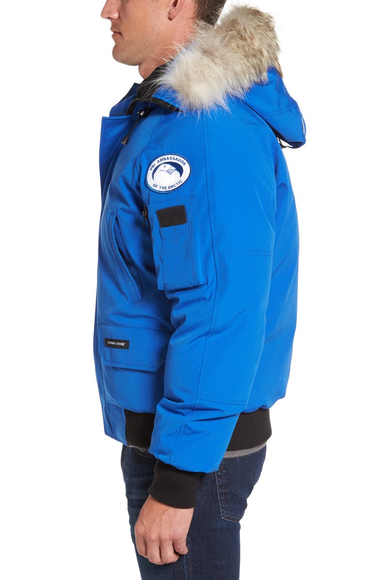 Canada Goose PBI Chilliwack Down Bomber Jacket with Genuine Coyote Trim, Alternate, color, 