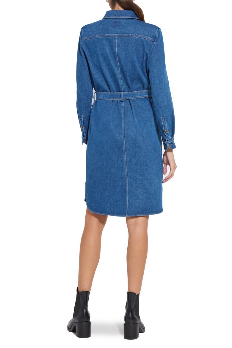 Schiffer Long Sleeve Stretch Cotton Chambray Shirtdress, Alternate, color, MEDIUM BLUE