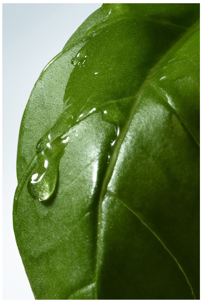 Basil & Hinoki Hand Cream, Alternate, color, NO COLOR