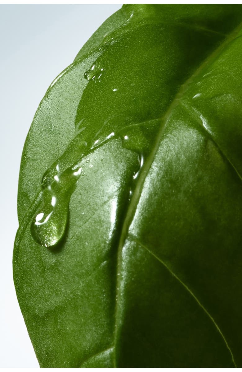 Dries Van Noten Basil & Hinoki Hand Cream, Alternate, color, 