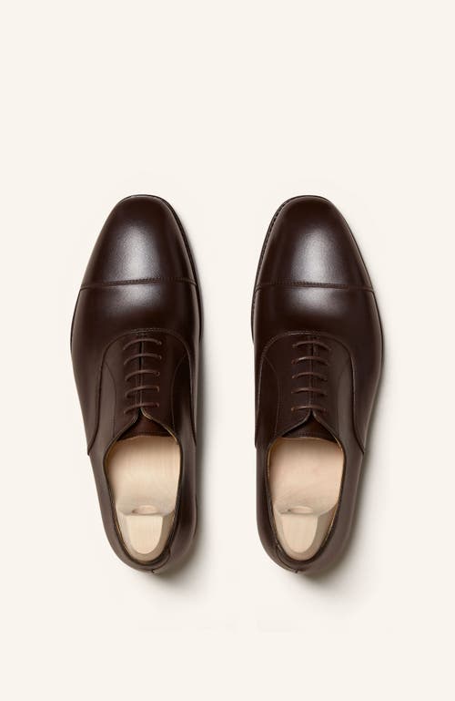 Myrqvist Äppelviken Oxfords In Brown