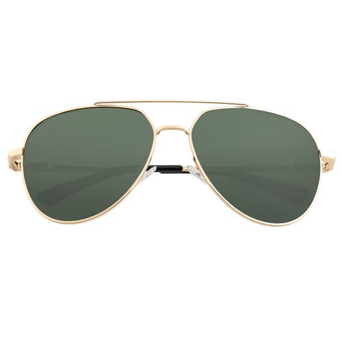 Breed Lyra Polarized Sunglasses In Gold/black