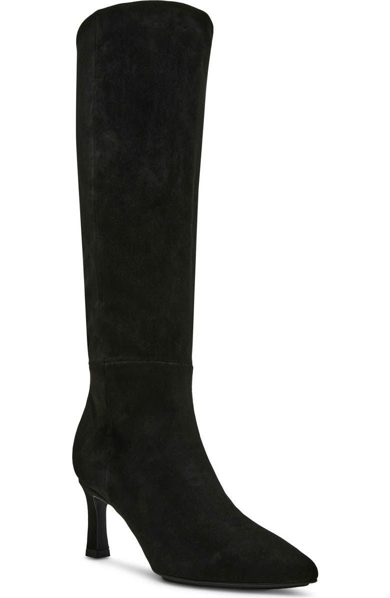 Anne Klein Rene Pointed Toe Knee High Boot, Main, color,