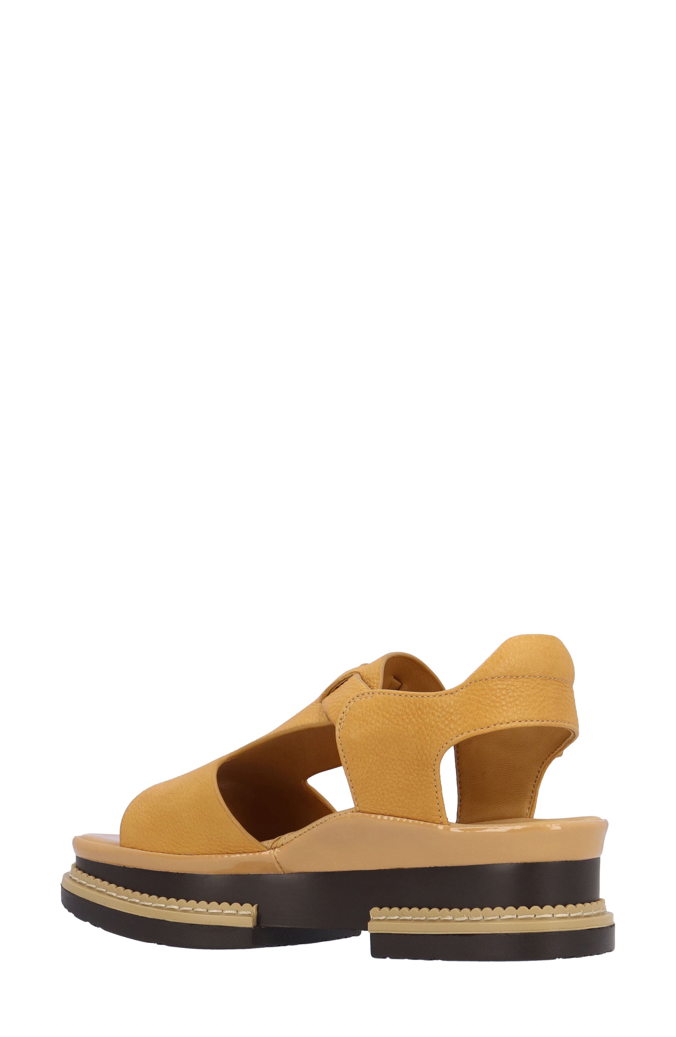 L'Amour des Pieds Aveeva Ankle Strap Sandal, Alternate, color, Lioness