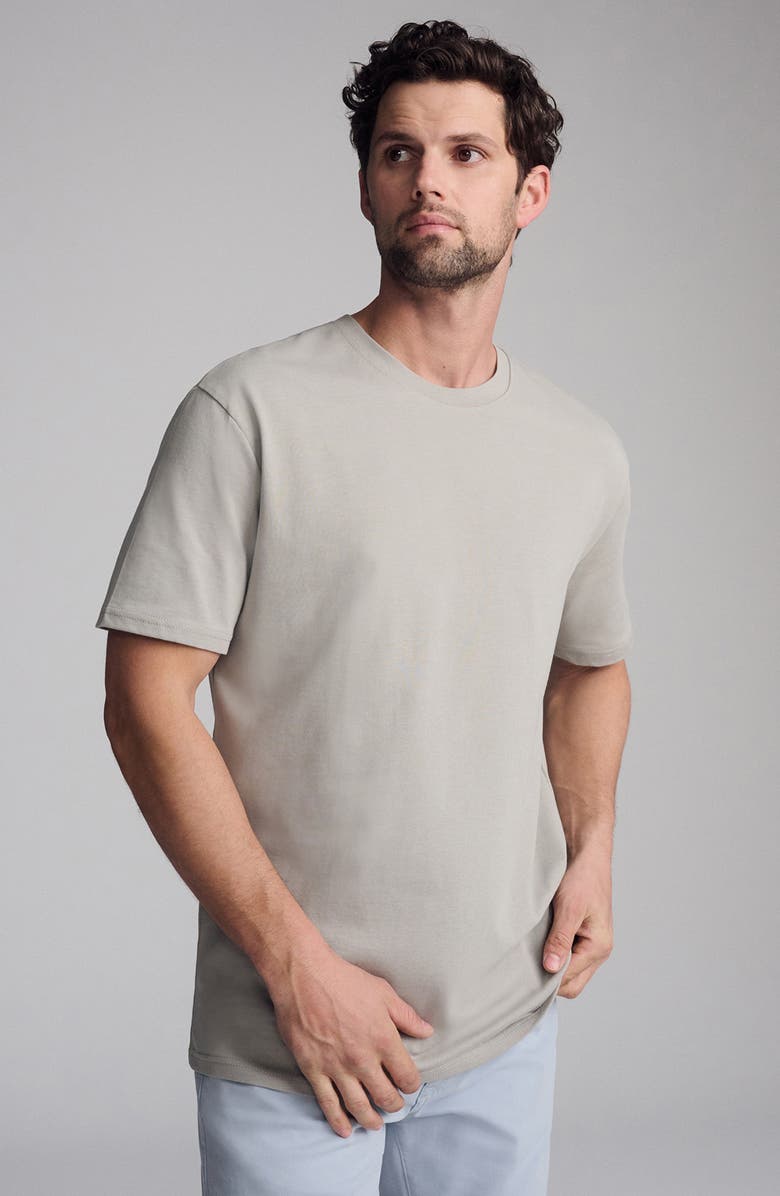 Mavi Jeans Paloma Cotton T-Shirt, Alternate, color, 