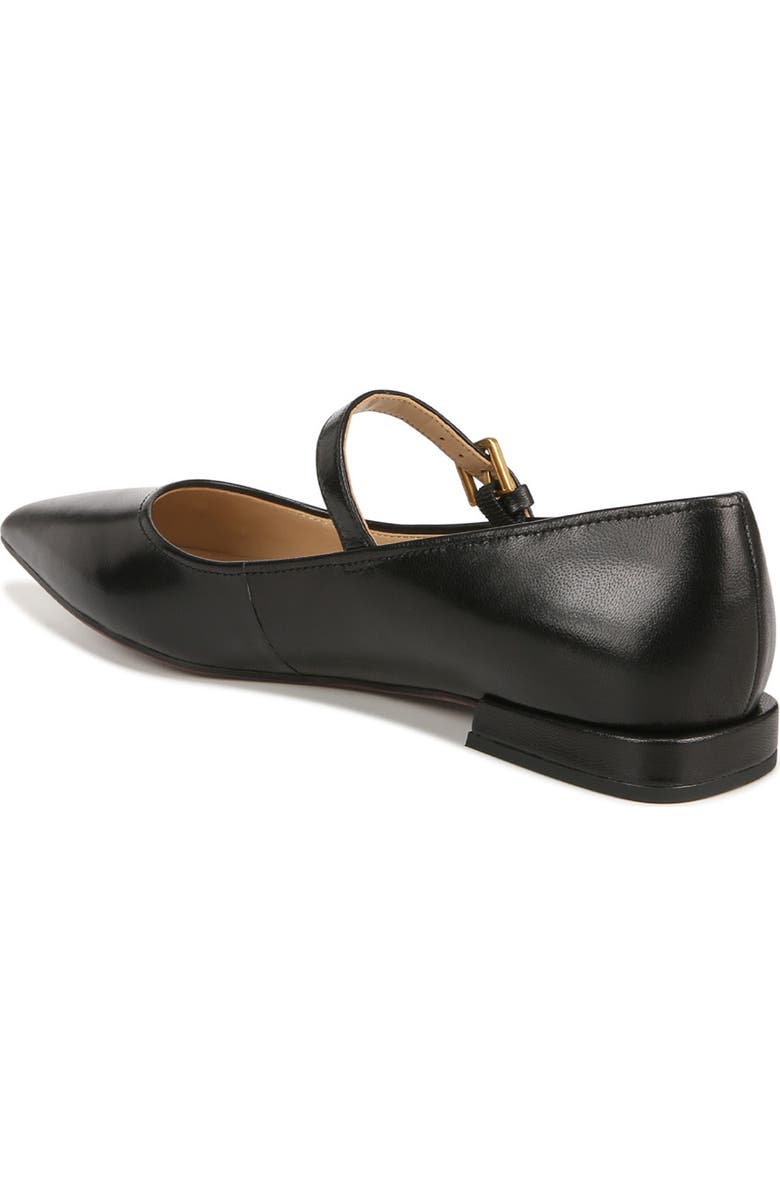 Franco Sarto Nalin Pointed Toe Flat, Alternate, color,