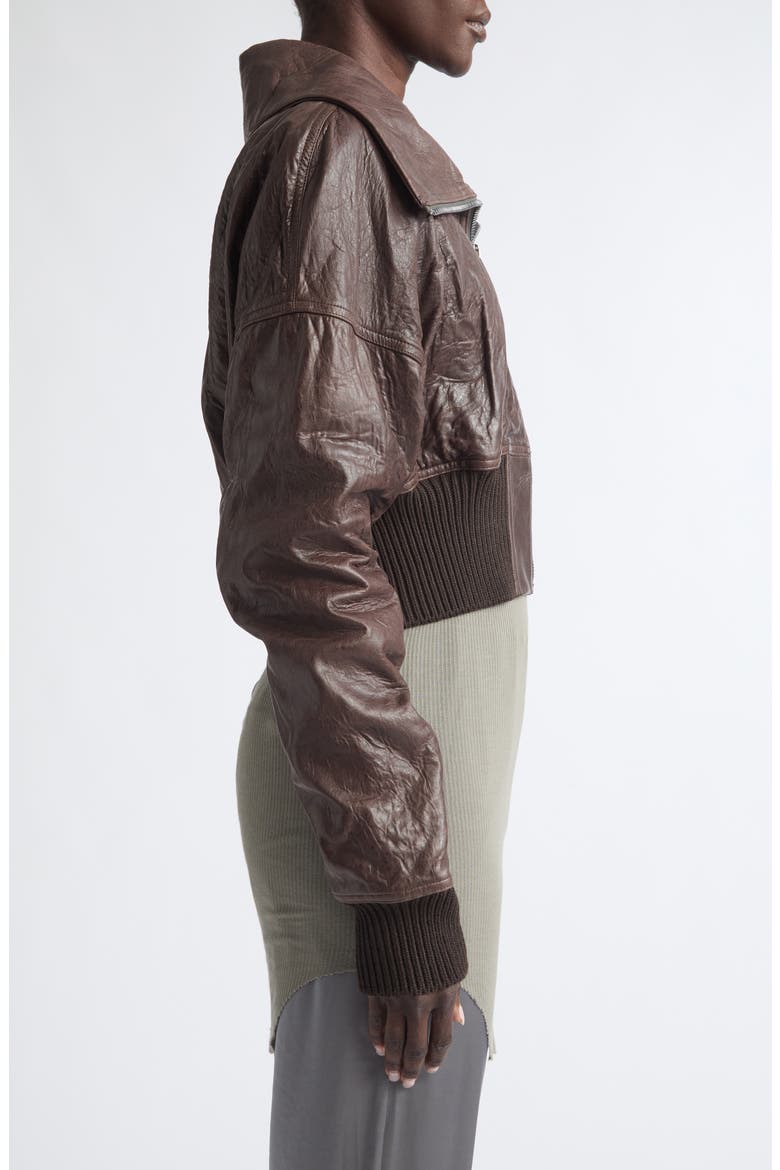 Dracuflight Crop Leather Bomber Jacket, Alternate, color, GREASE