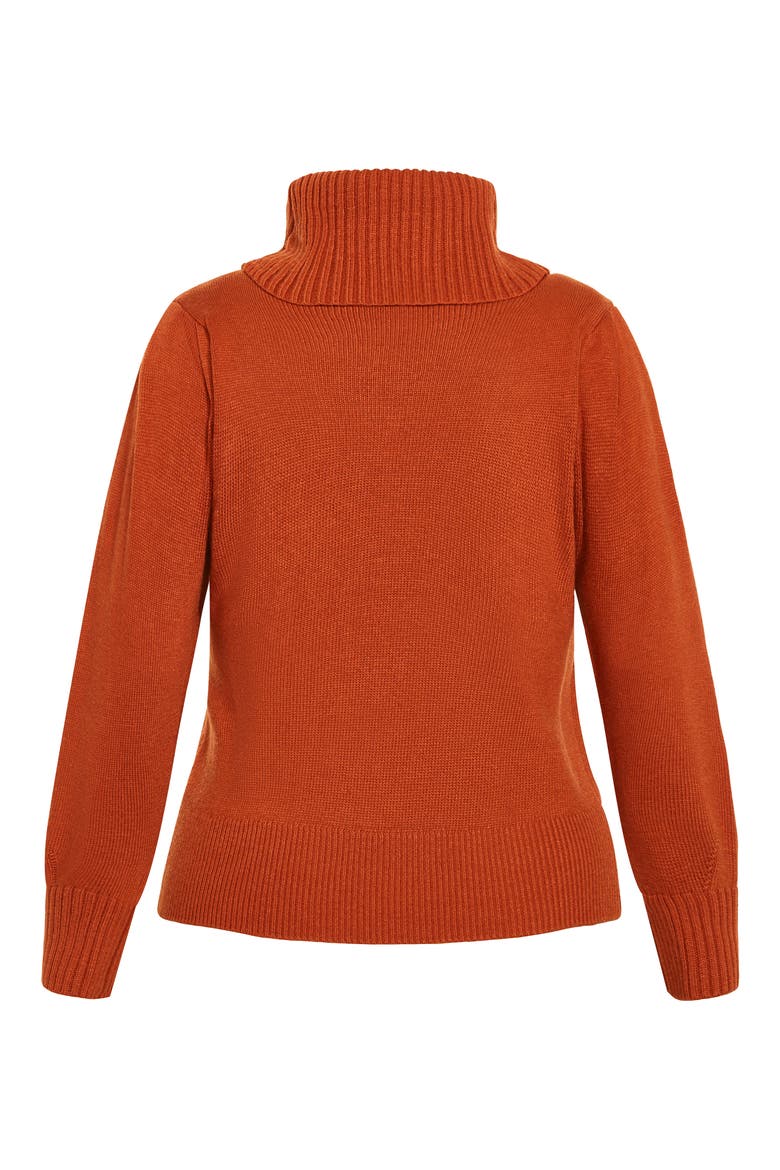 Softly Sweet Turtleneck Sweater, Alternate, color, TOFFEE