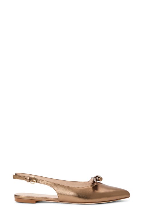 Jack Rogers Lennox Slingback Pointed Toe Flat In Brown