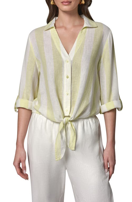 Donna Karan New York Yarn Dye Stripe Crop Linen Blend Button-up Shirt