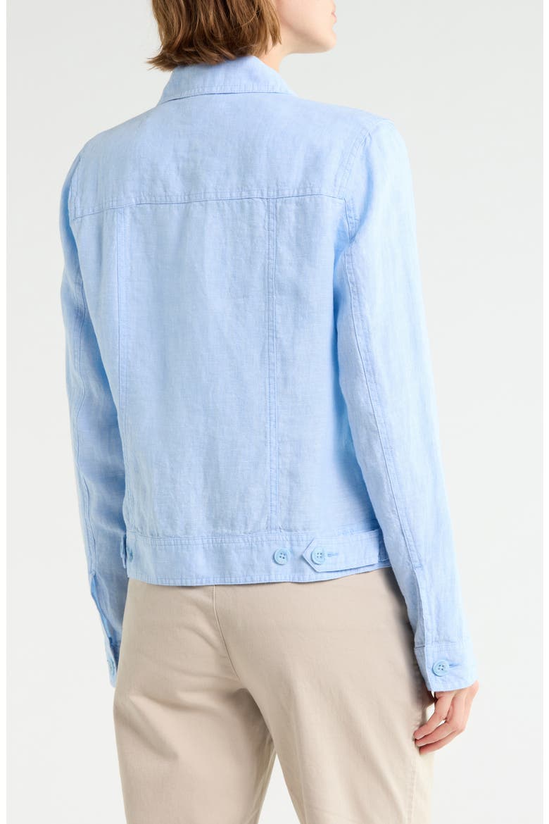 Two Palms Linen Jacket, Alternate, color, LT SKY