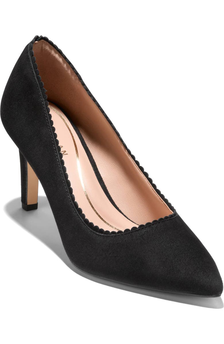 Cole Haan Bellport Pointed Toe Pump, Main, color, Black Suede