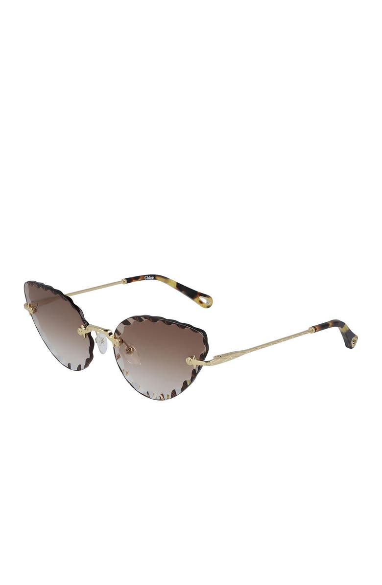 Chloé Rosie 60mm Gradient Cat Eye Sunglasses, Alternate, color,