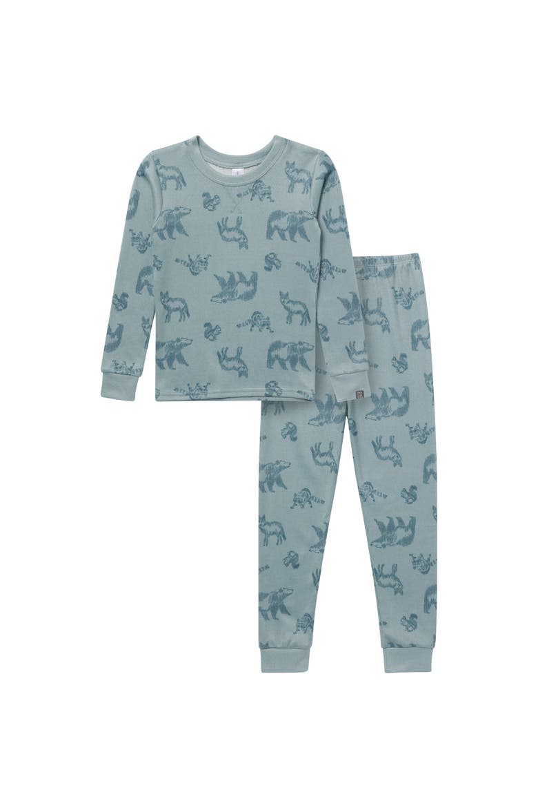 Hacci Sung Fit Footless Pajama Set, Main, color, Blue Animals