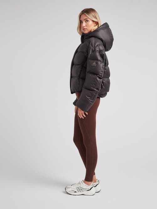 Jack1t Cloud Boss Hooded Puffer Jacket In Black