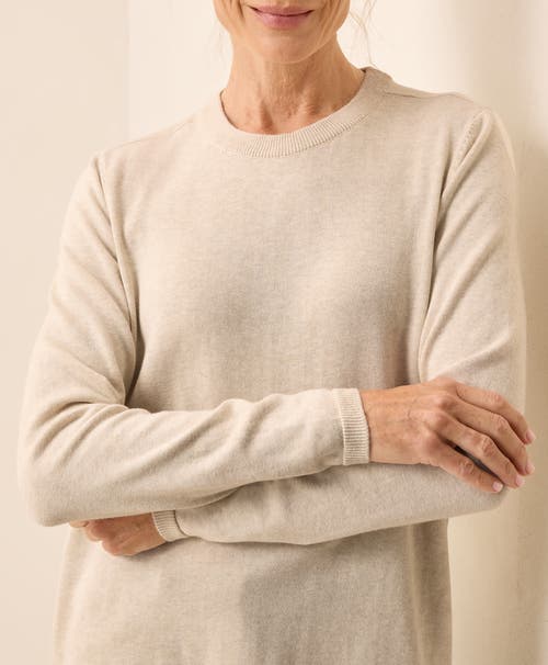 Pact Organic Cotton Classic Fine Knit Crew Sweater In Brown