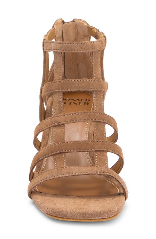 DONALD PLINER DONALD PLINER GLADIATOR SANDAL