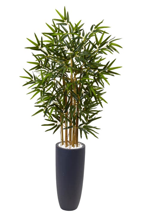 4-Foot Bamboo Tree in Gray Cylinder