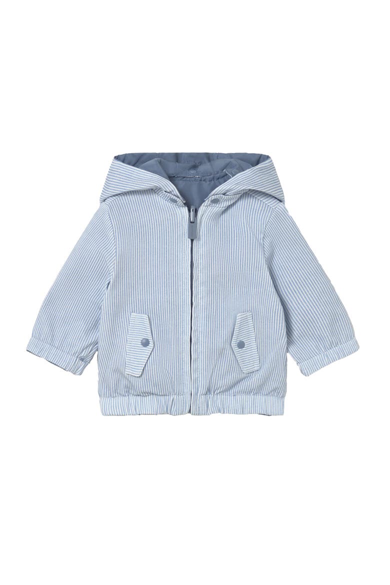 Striped Hooded Jacket, Main, color, Light Blue