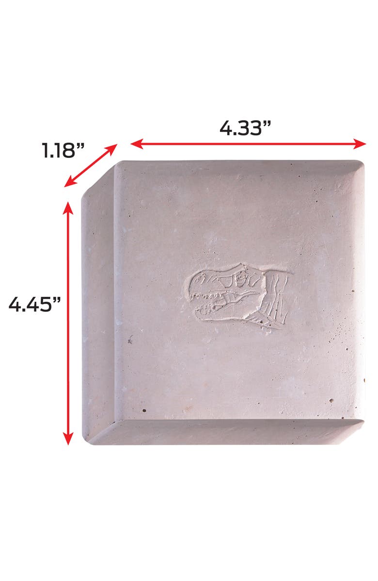 WowWorld Dino Dig Tyrannosaurus Rex Skeleton Excavation Kit, 6+, Alternate, color, Multicolored