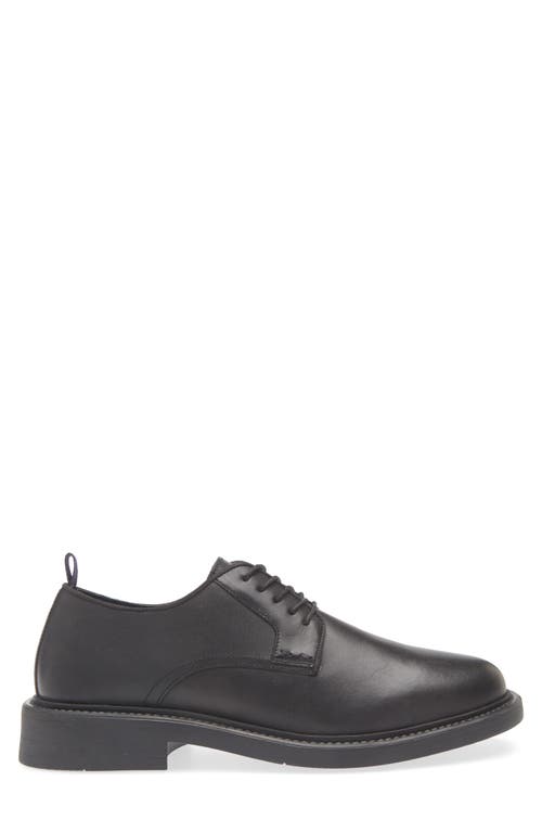 Steve Madden Lima Oxford Shoe In Black
