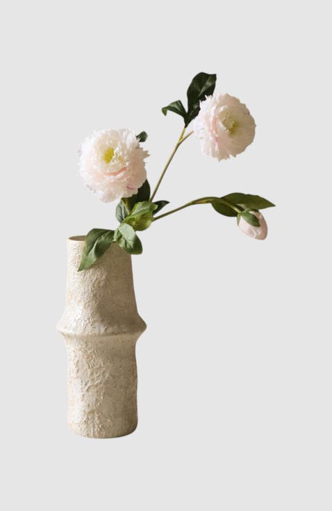 Light Pink Peony Flower