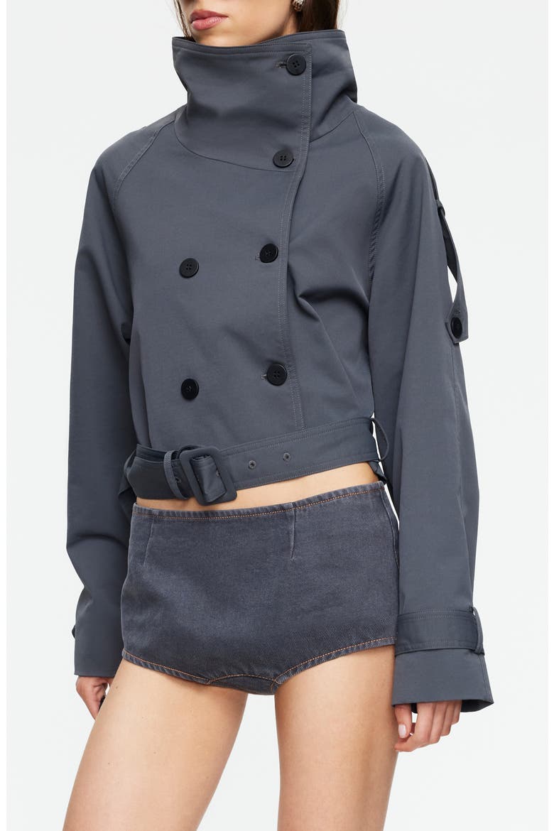Blanc Crop Trench Coat, Alternate, color, SLATE