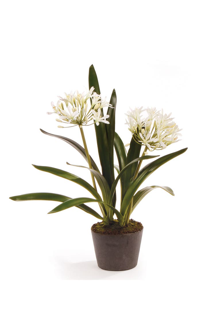 Agapanthus Drop-In Faux (Fake) 23", Main, color, White