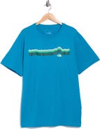 The North Face Evolution Graphic T-Shirt