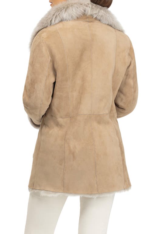 Gorski Merino Toscana Lamb Short Jacket In Brown