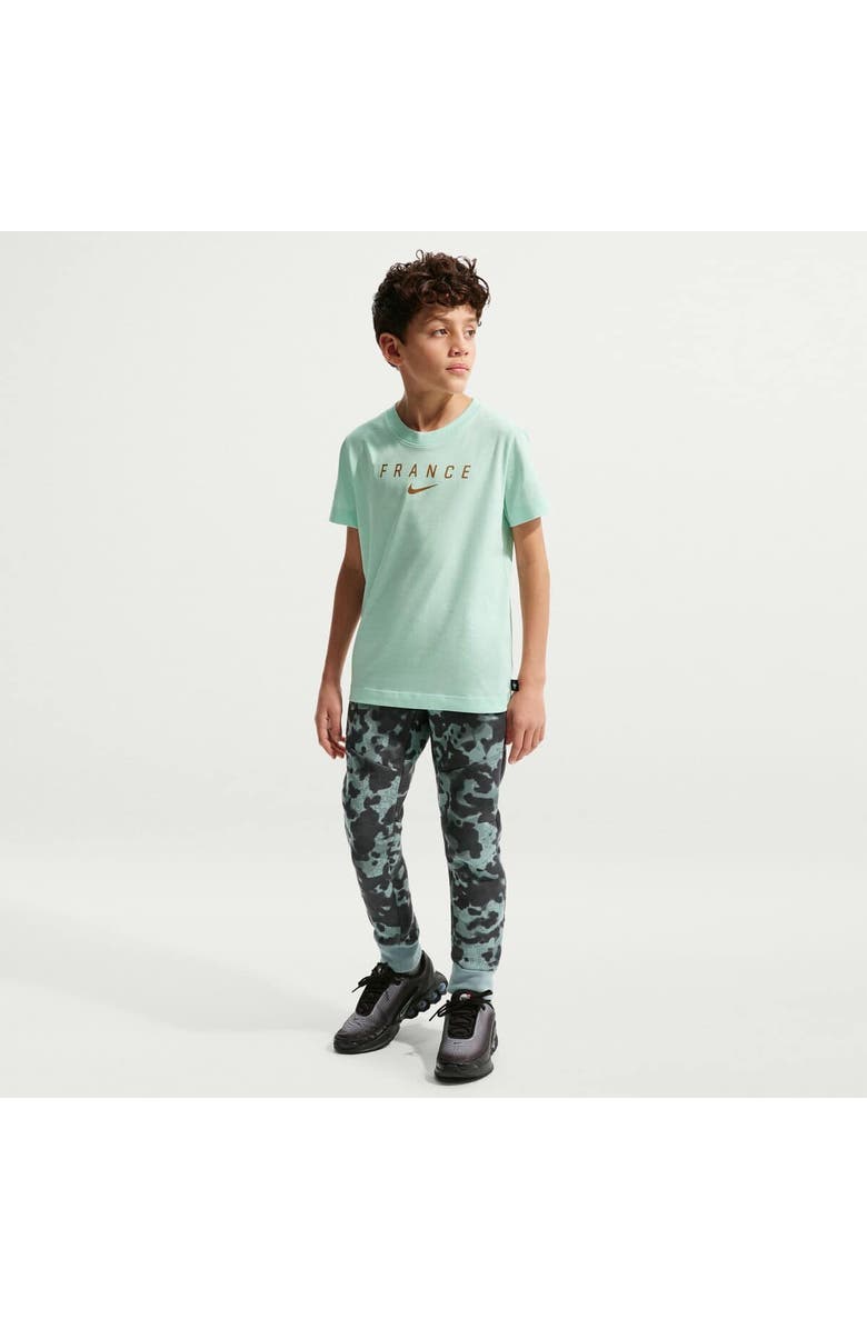 Nike Youth Nike Green France National Team Wordmark T-Shirt, Main, color, Green